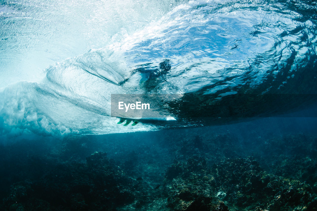 Coral reef underwater