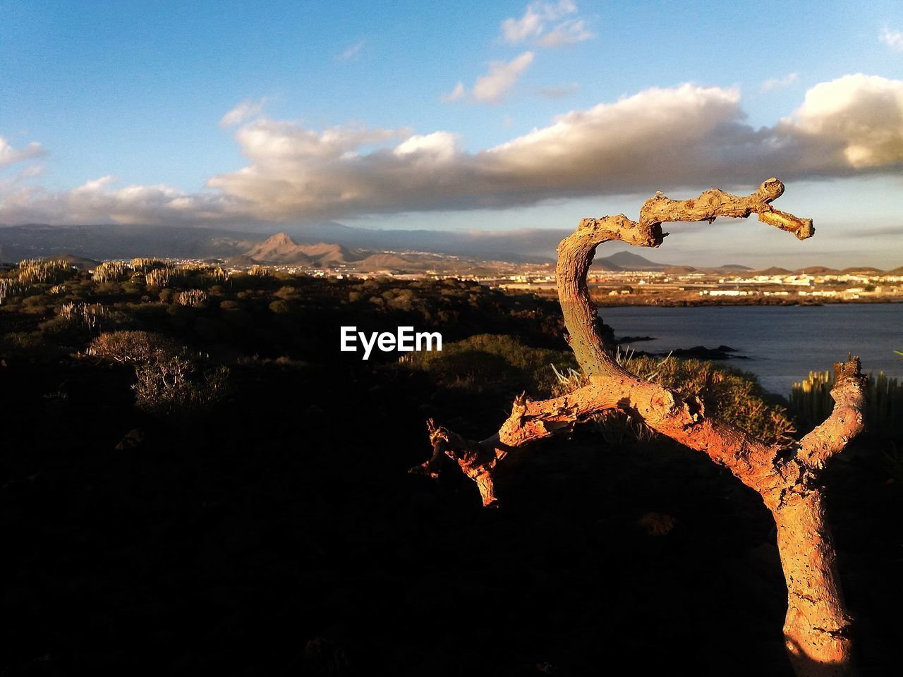 AERIAL VIEW OF LANDSCAPE AGAINST THE SKY