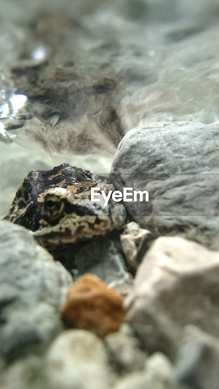 VIEW OF ROCKS IN WATER