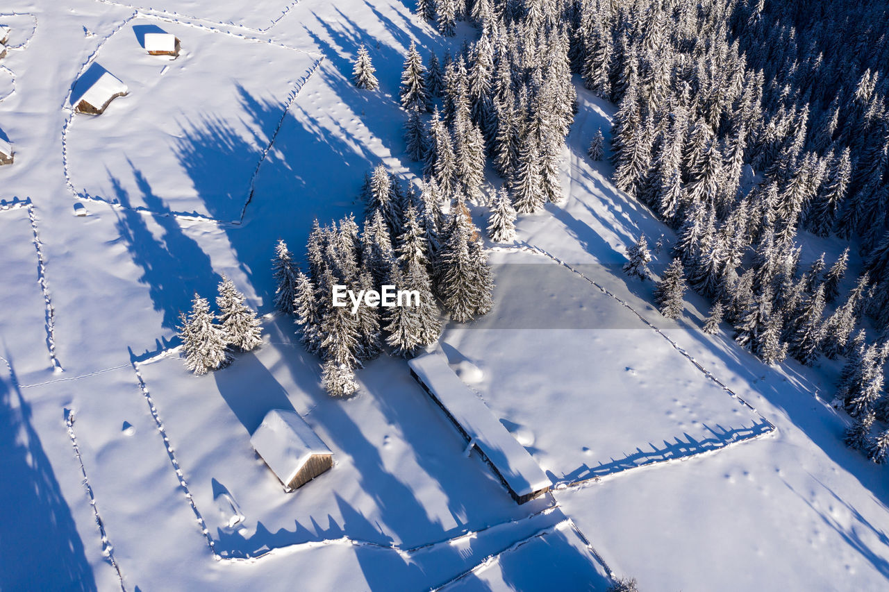 AERIAL VIEW OF SNOW COVERED TREES ON FIELD