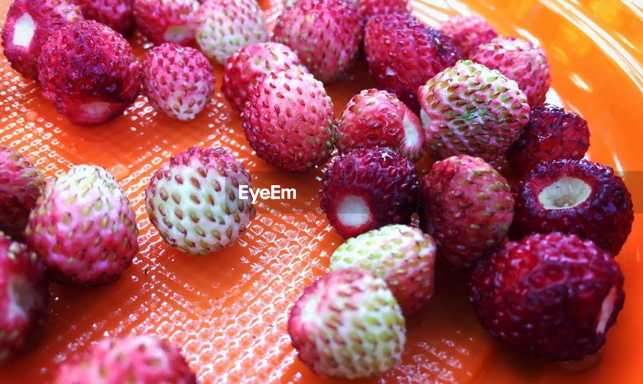 Close-up of wild strawberries