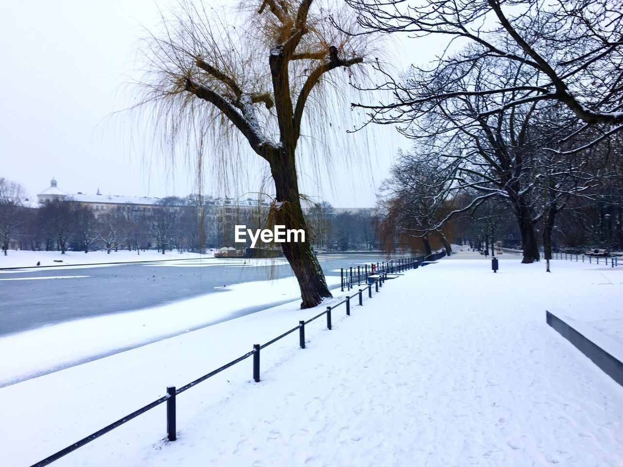 Bare trees on snow covered landscape against sky