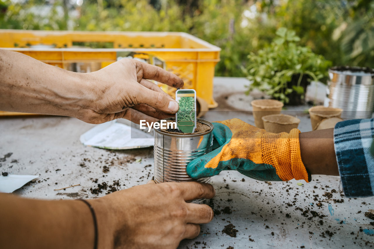 Cropped image of male and female volunteers planting at table