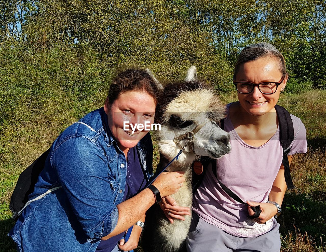 Portrait of smiling women standing with alpaca against trees