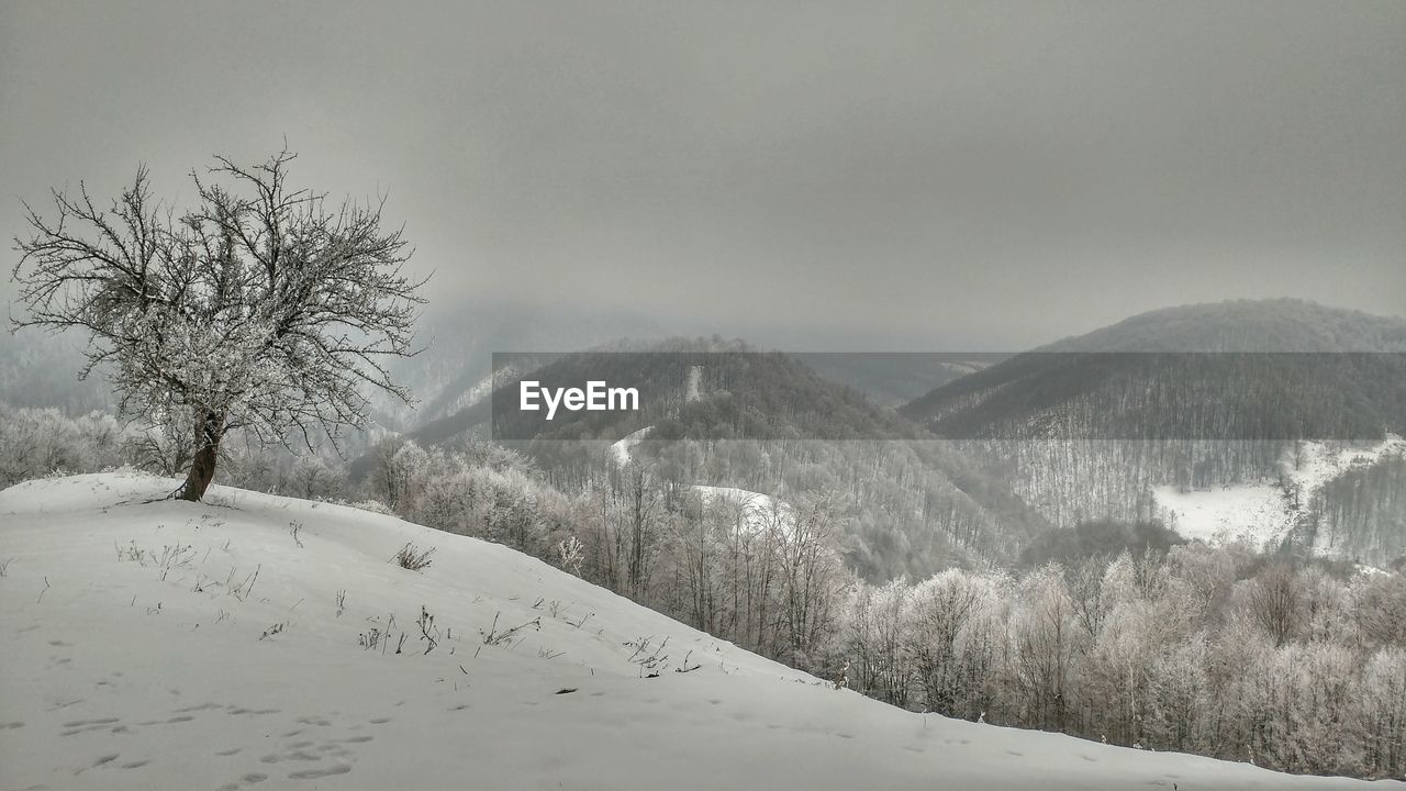 Scenic view of landscape against sky during winter