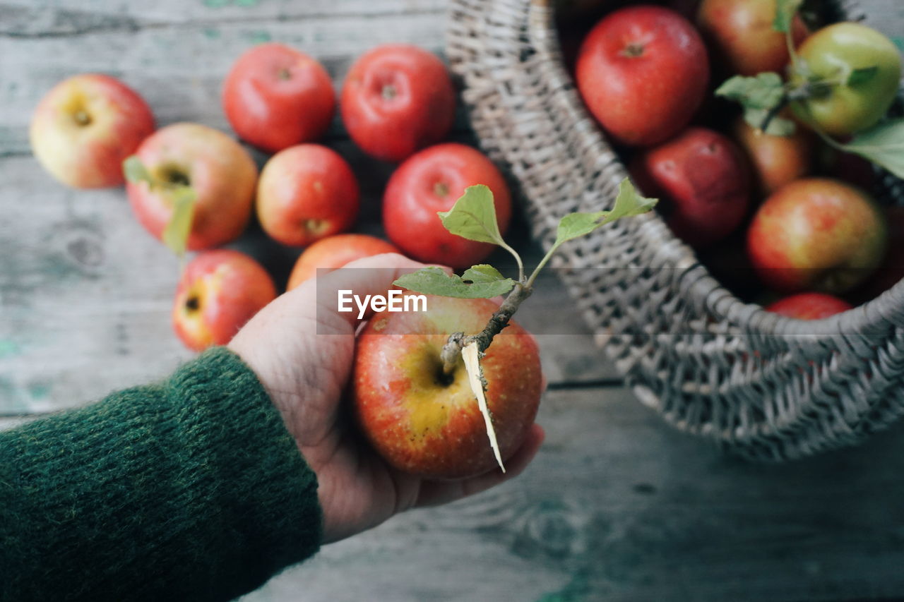 Cropped image of hand holding apple