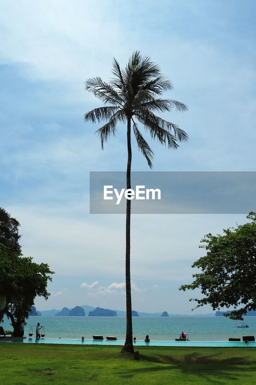 PALM TREES ON SHORE AGAINST SKY