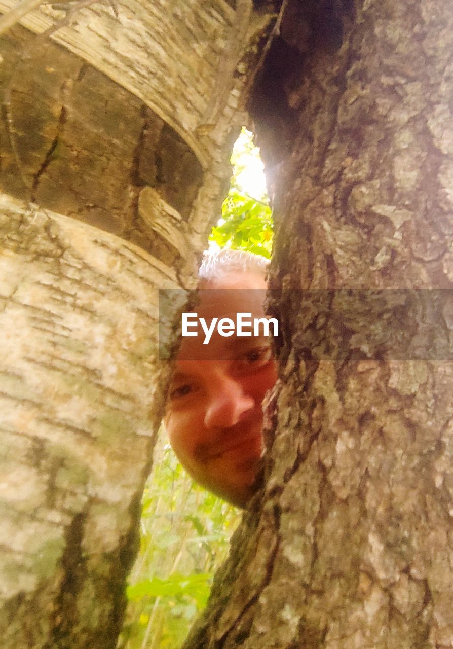 trunk, tree trunk, tree, one person, plant, nature, day, climbing, portrait, outdoors, leisure activity, low angle view, headshot, textured, sunlight, men, hole, close-up, looking at camera, leaf, adult, looking, land, wood, forest, plant bark, smiling, adventure, peeking