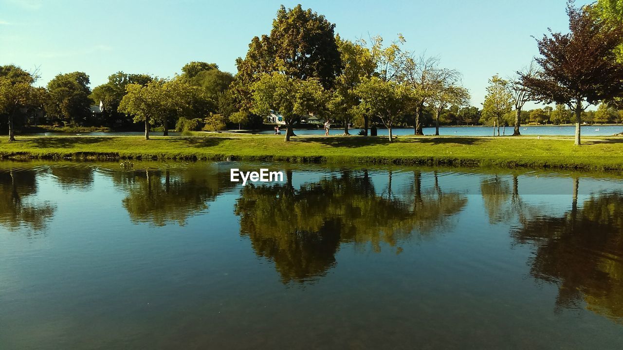 Reflection of trees on river