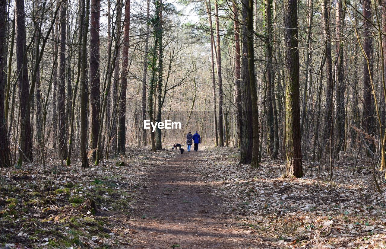 Rear view of man and woman walking in forest