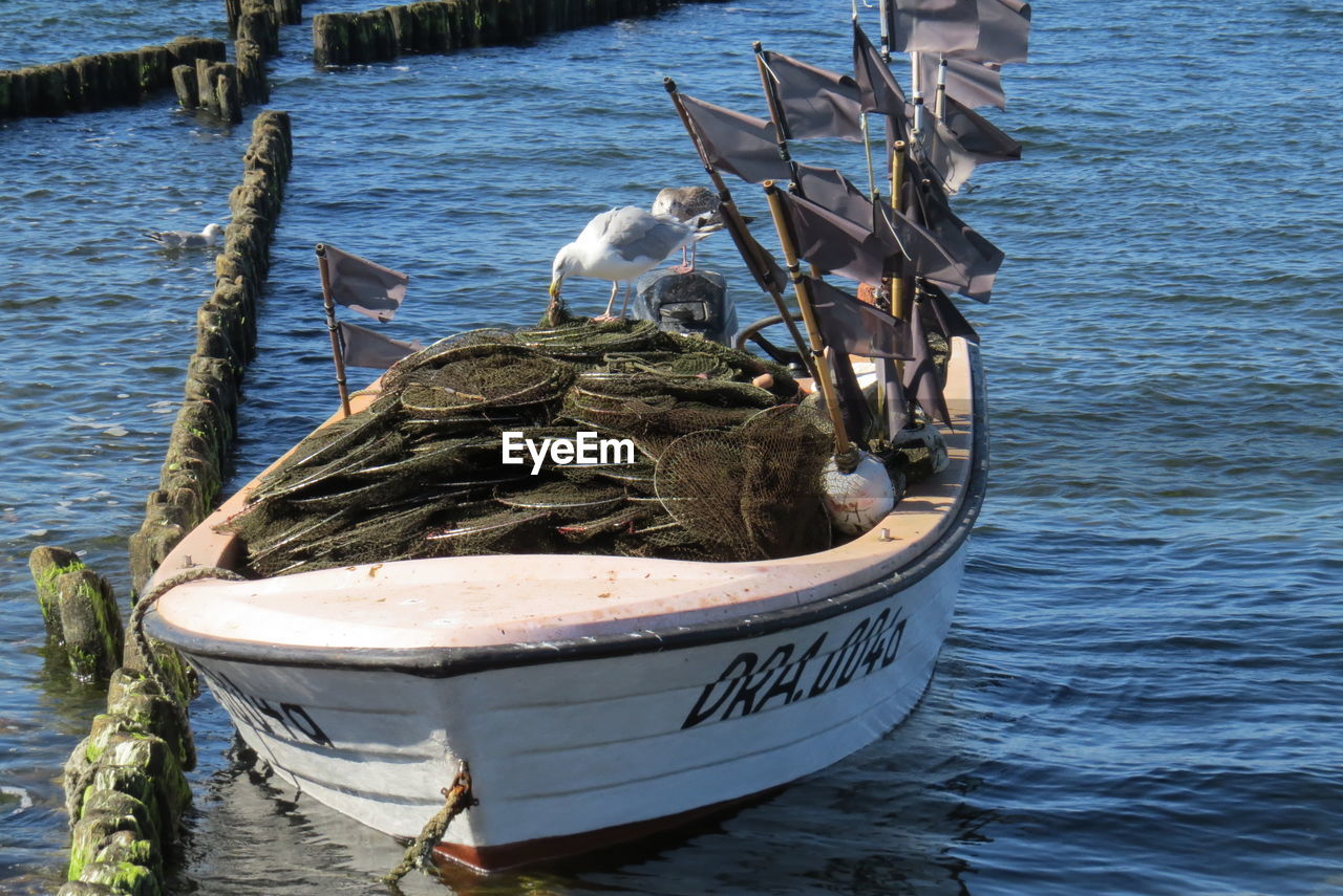 Fishing boat in sea