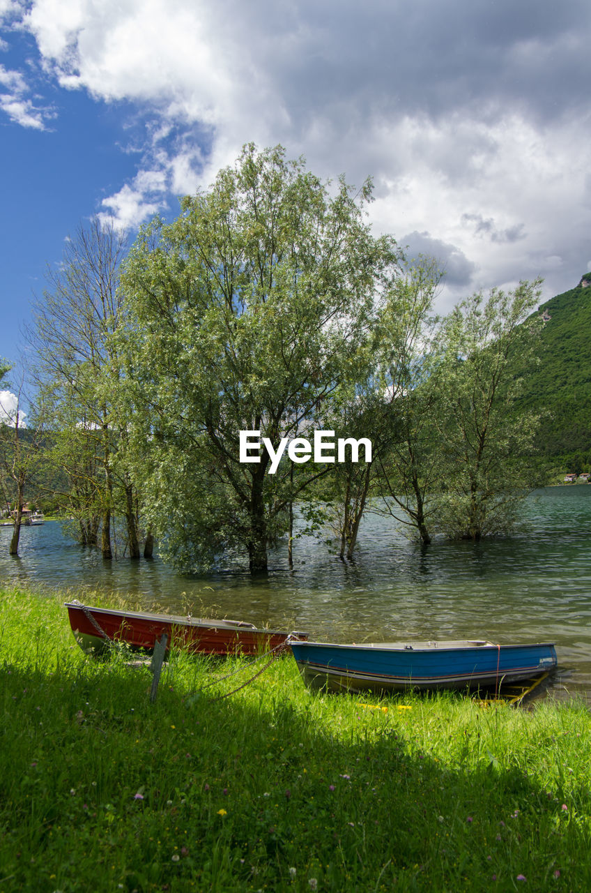 SCENIC VIEW OF LAKE AGAINST TREES