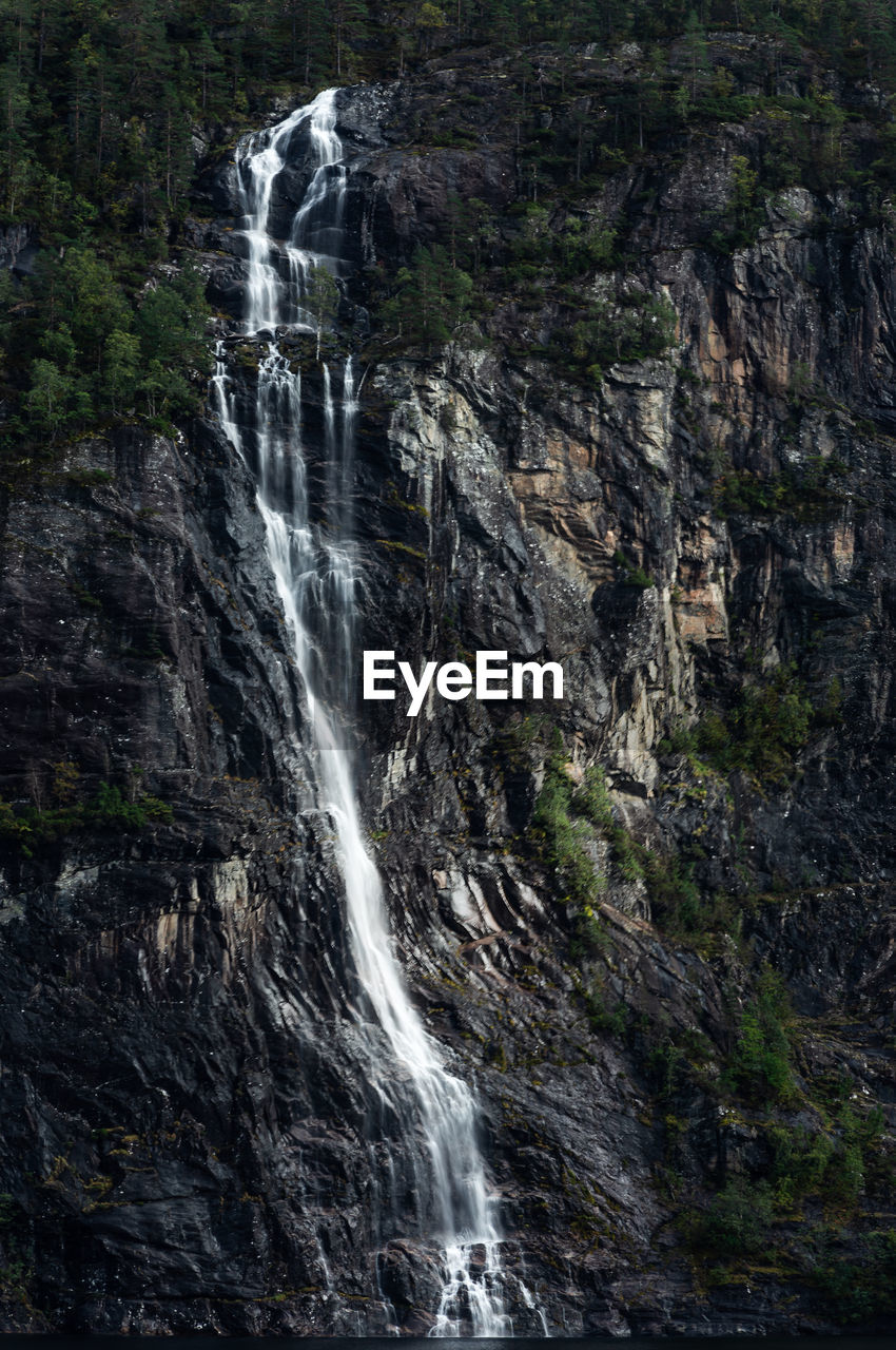 VIEW OF WATERFALL IN FOREST