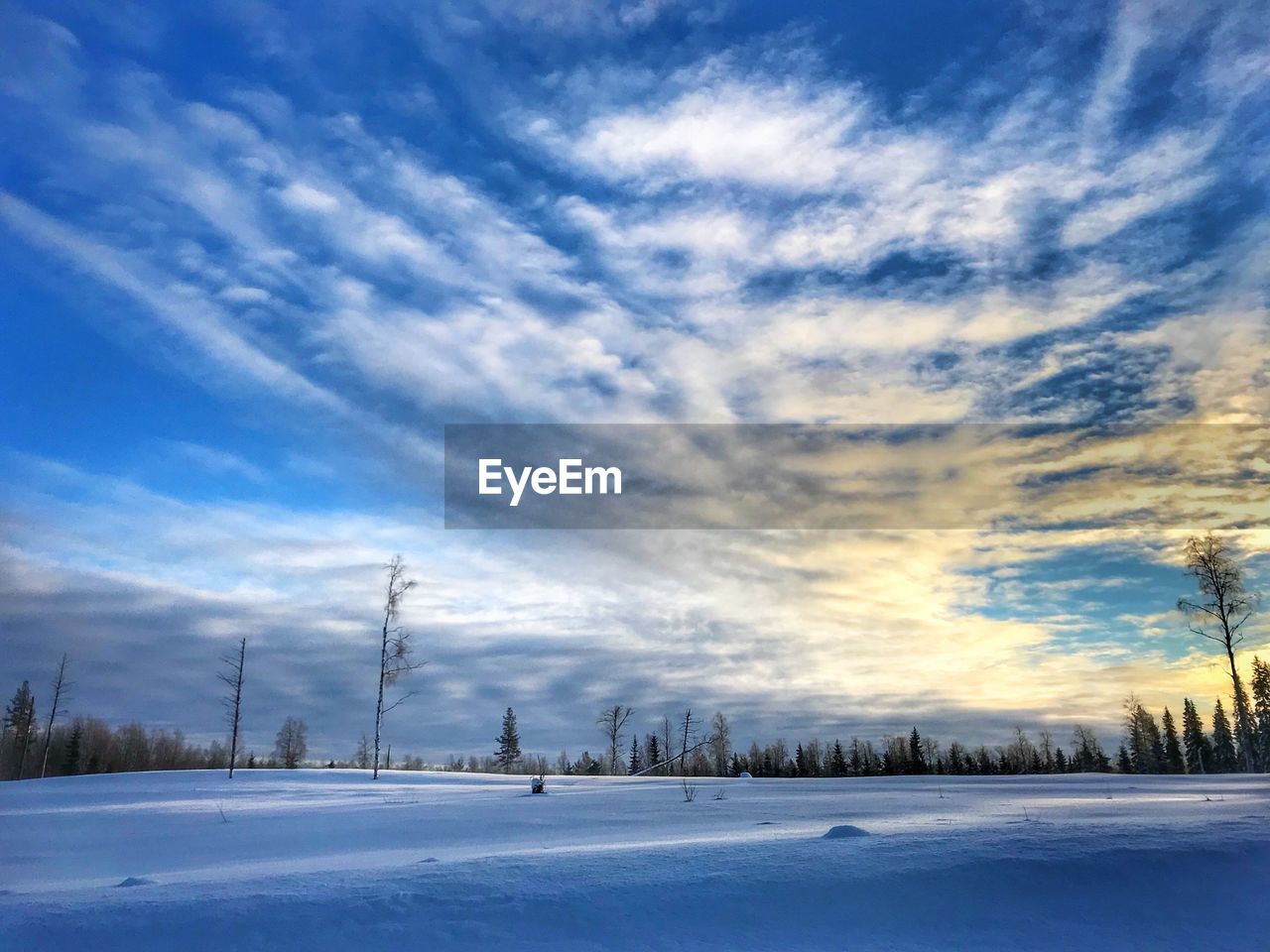 SNOW COVERED FIELD AGAINST SKY