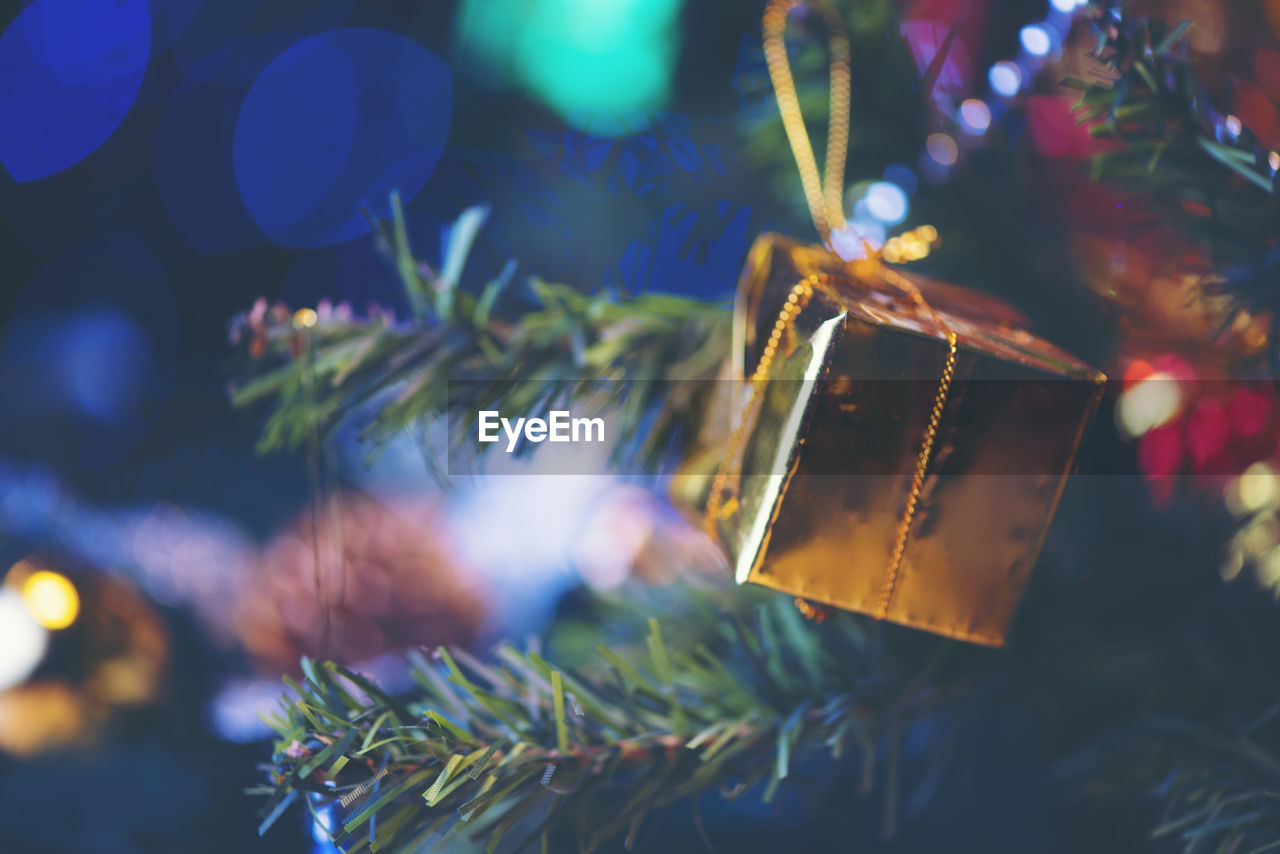 Close-up of decoration hanging from christmas tree