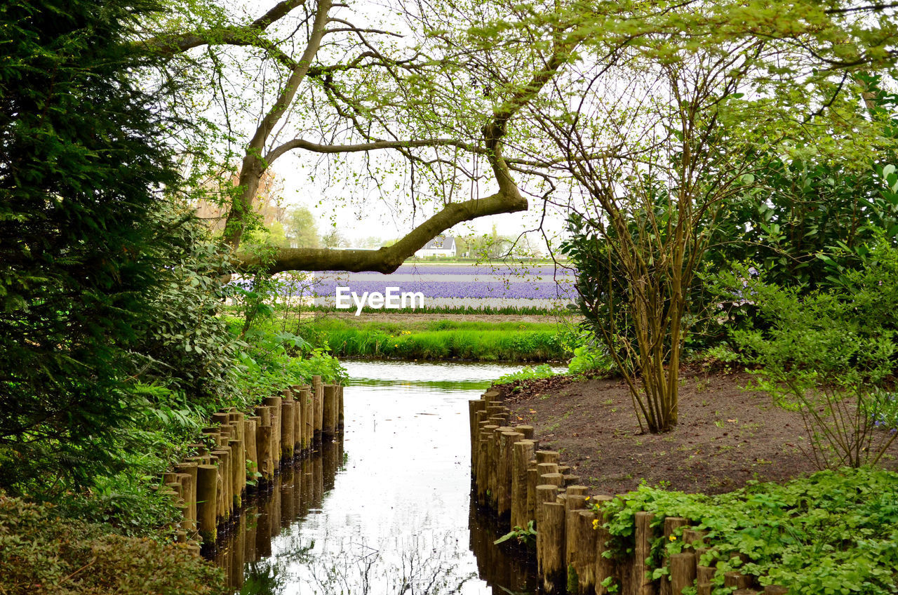 SCENIC VIEW OF LAKE