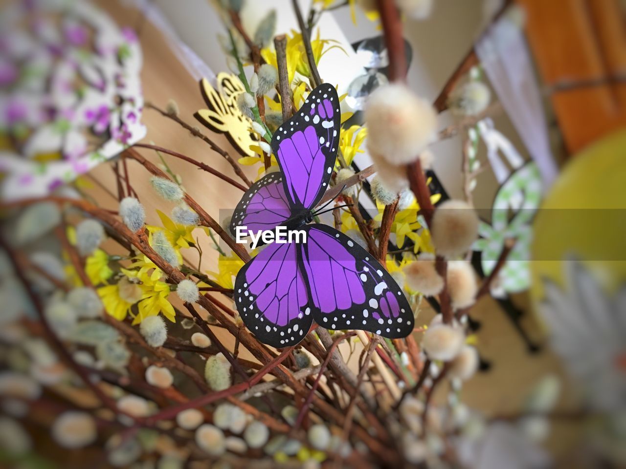 Low angle view of artificial butterfly on easter tree at home