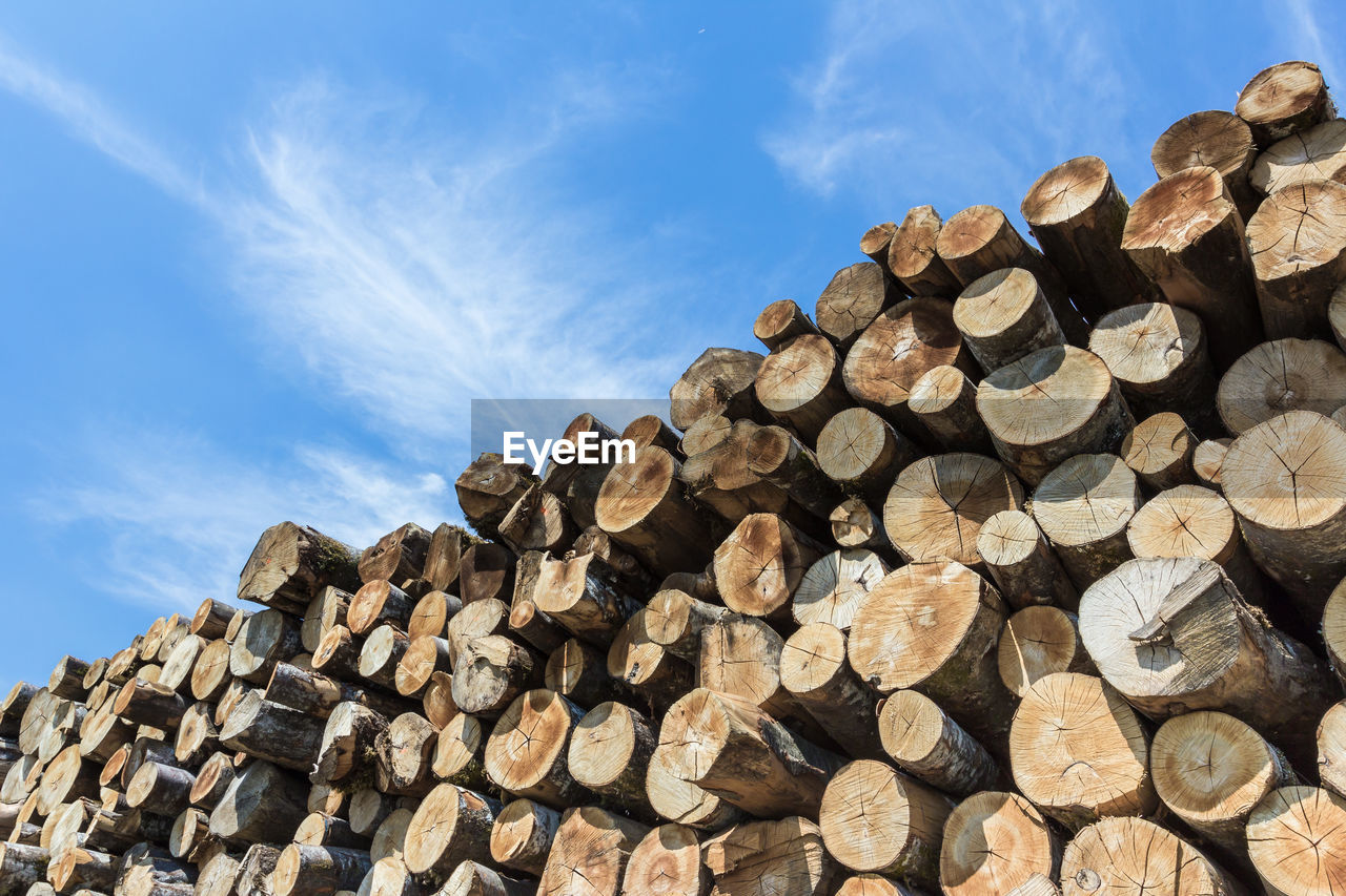 STACK OF LOGS AGAINST THE SKY