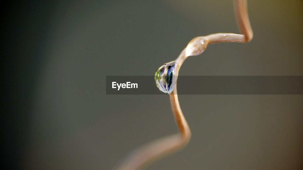 CLOSE-UP OF WATER DROP ON SPIRAL