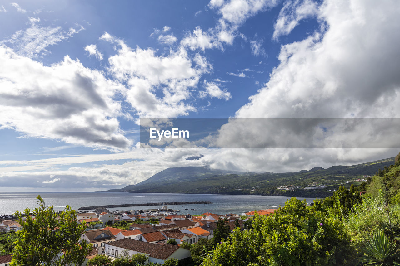 SCENIC VIEW OF MOUNTAINS AND TREES AGAINST SKY