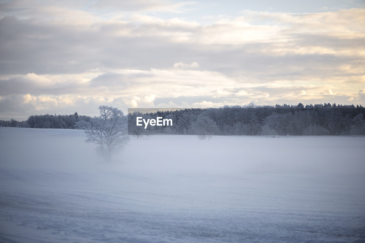Scenic view of snow covered and misty landscape against sky