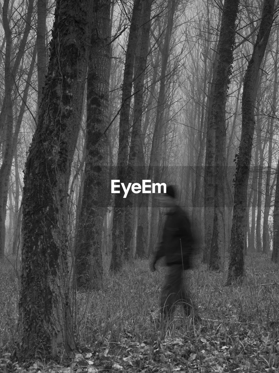 MAN WALKING ON TREE TRUNK IN FOREST