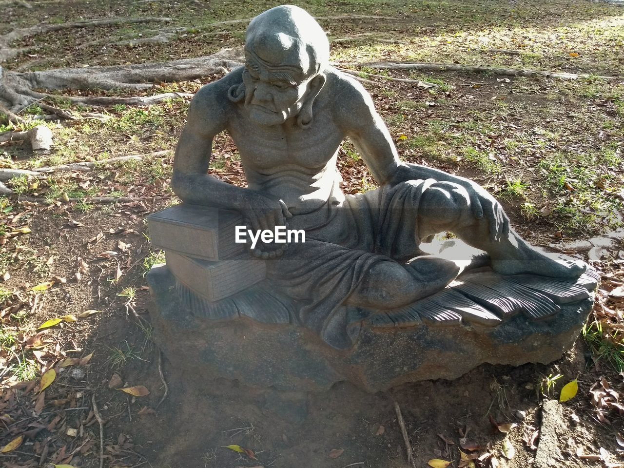 HIGH ANGLE VIEW OF STATUE IN FIELD