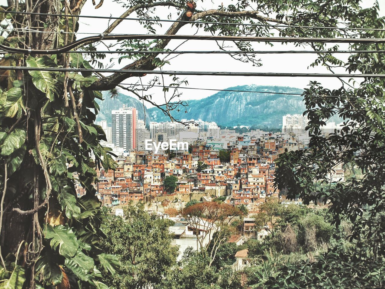 Building with trees in background