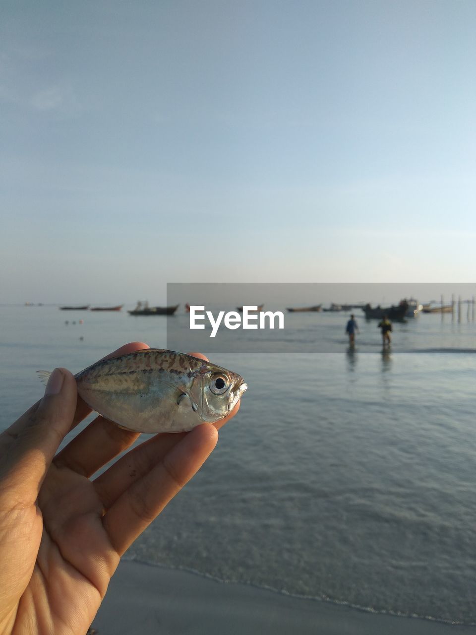 CLOSE-UP OF HAND HOLDING FISH IN RIVER