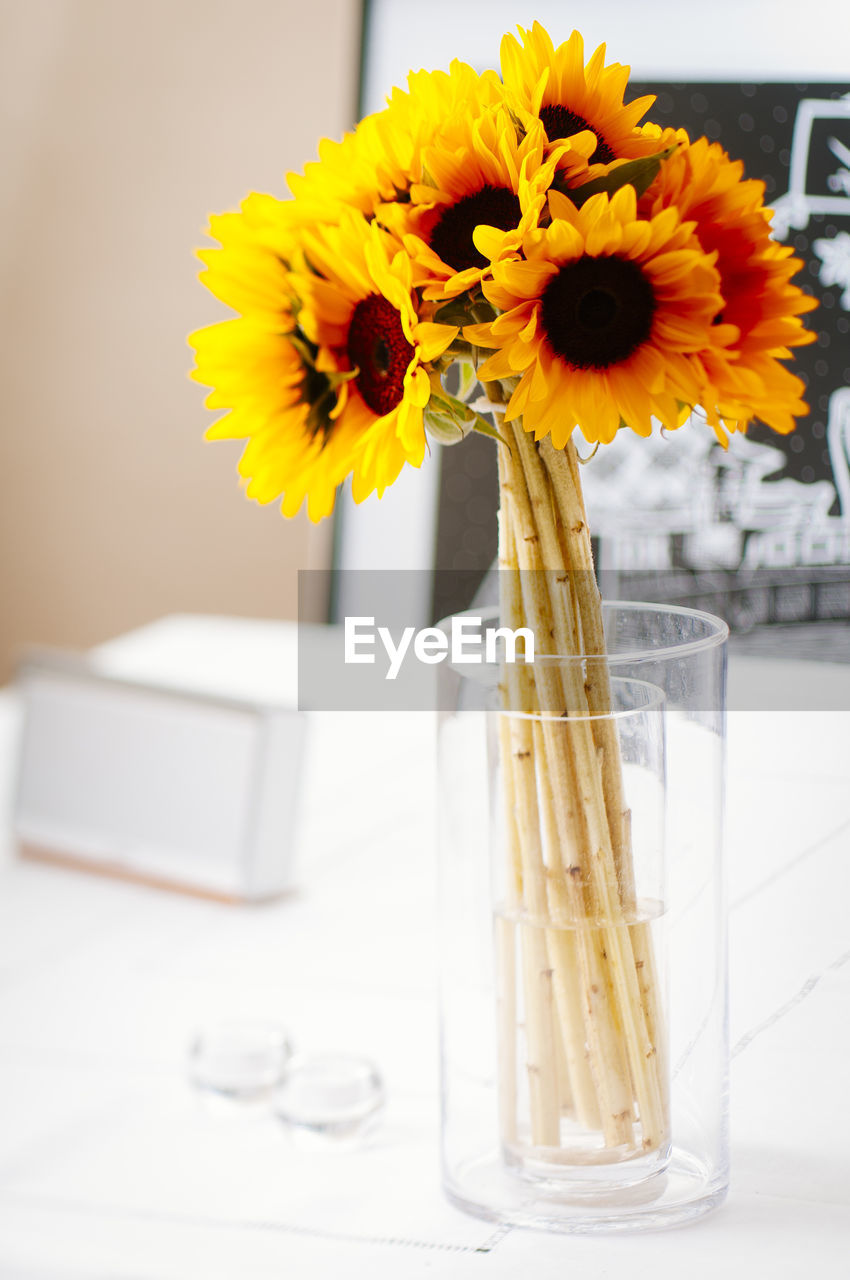 Close-up of flower vase on table