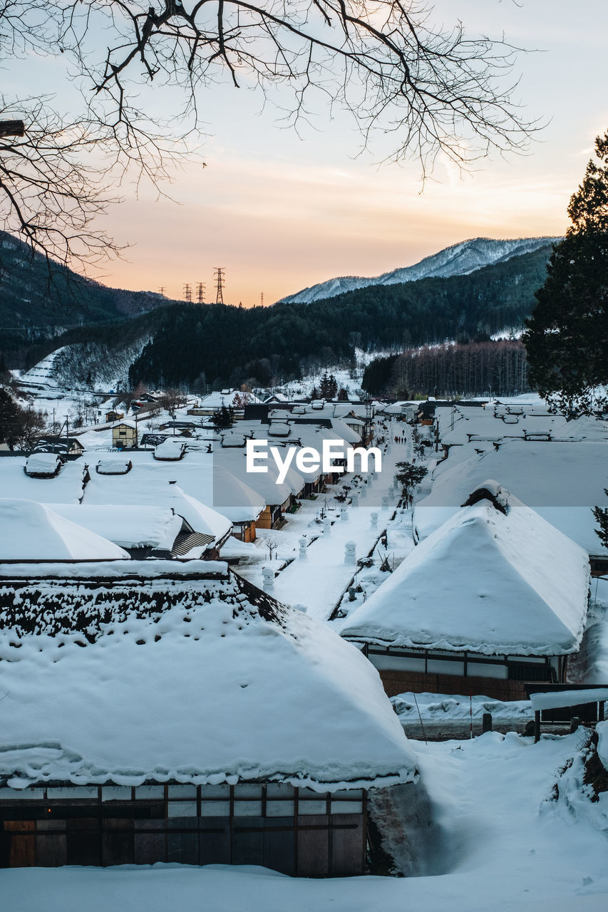 SCENIC VIEW OF SNOW COVERED TREE AND MOUNTAINS AGAINST SKY