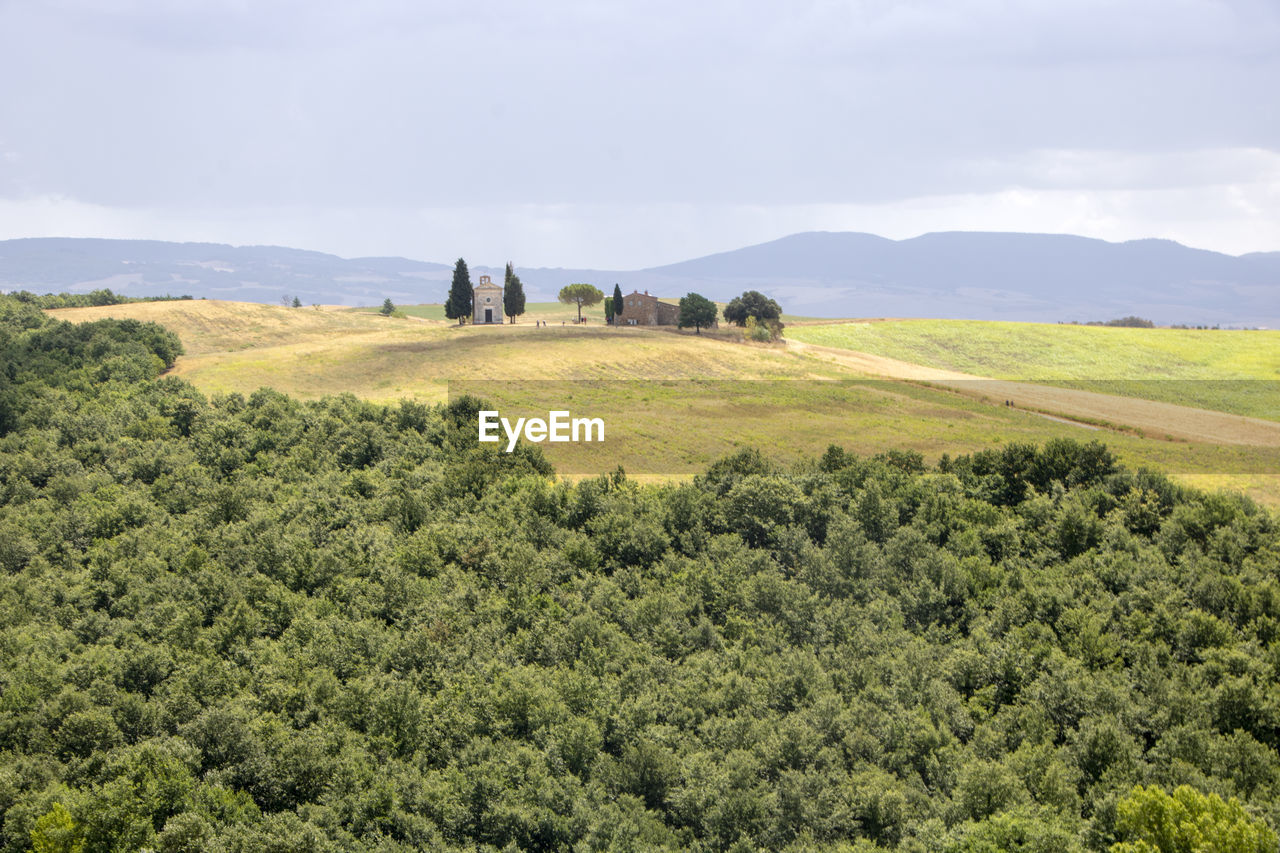 SCENIC VIEW OF AGRICULTURAL LANDSCAPE AGAINST SKY