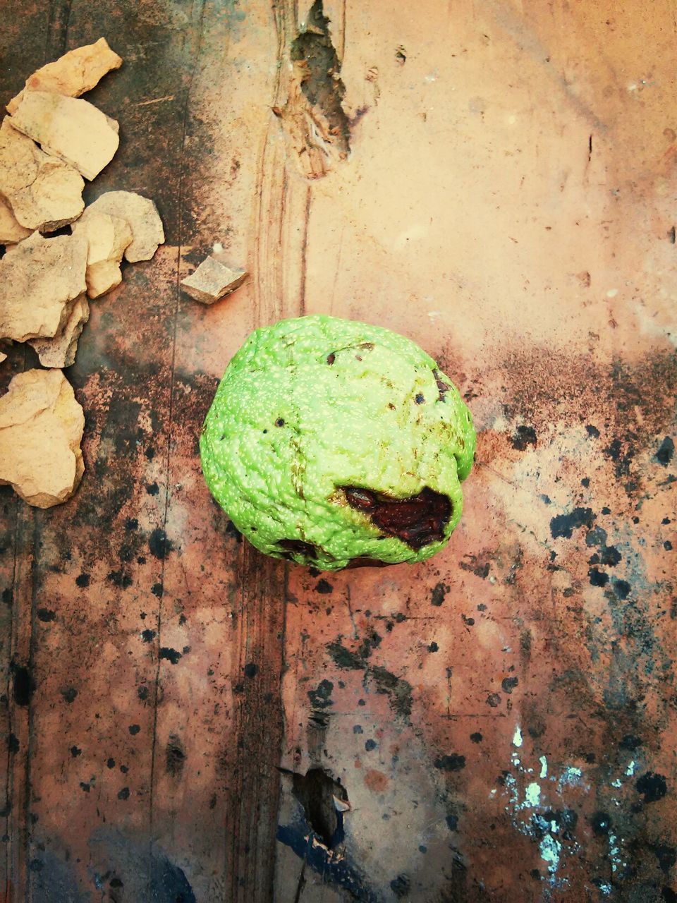 Rotten guava on table