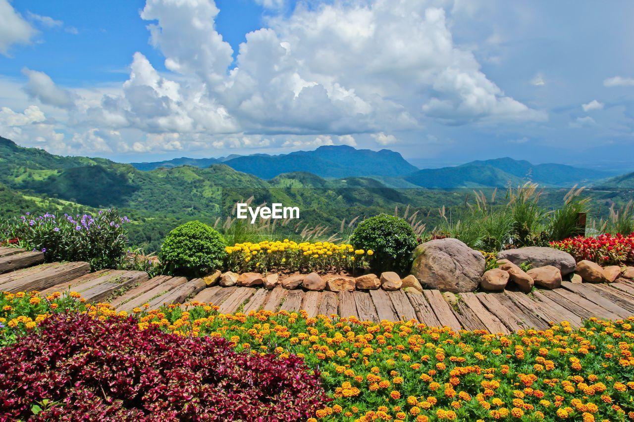 Scenic view of field against cloudy sky