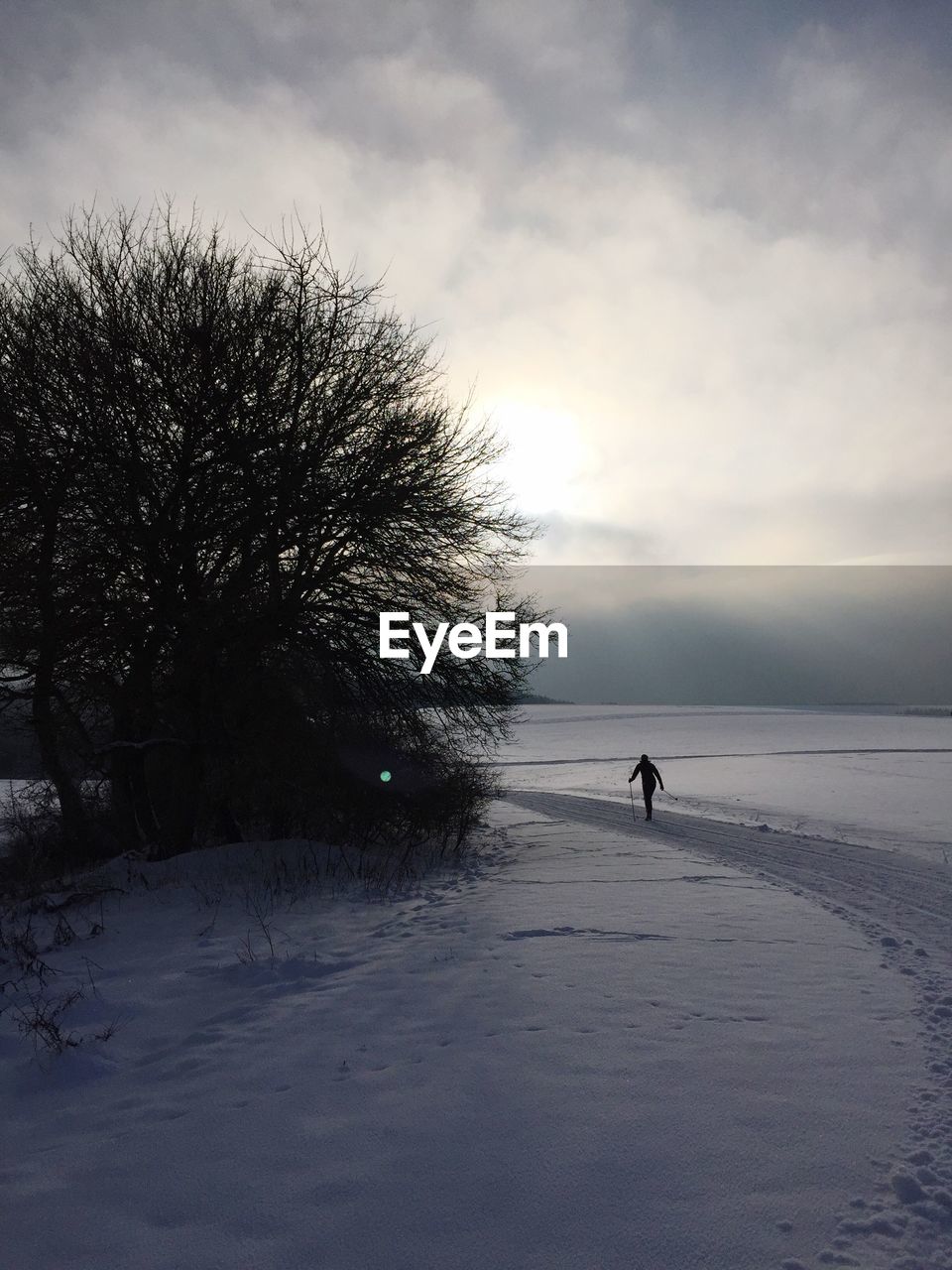 Person walking on road along snowed landscape