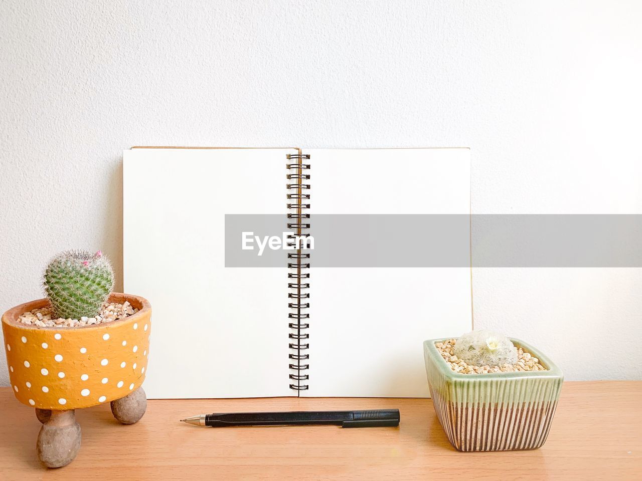 POTTED PLANT ON TABLE