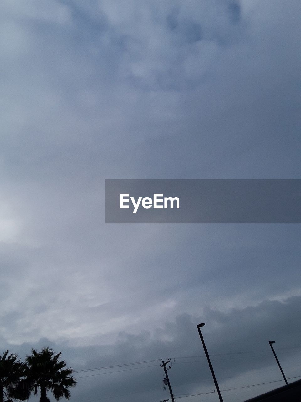 LOW ANGLE VIEW OF SILHOUETTE TREES AGAINST SKY