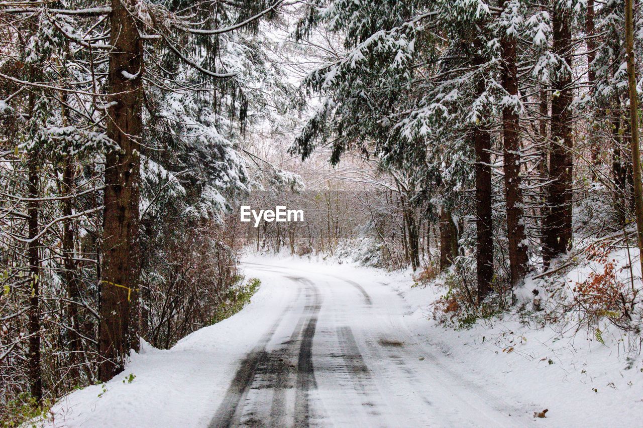 Snow covered road amidst trees in forest