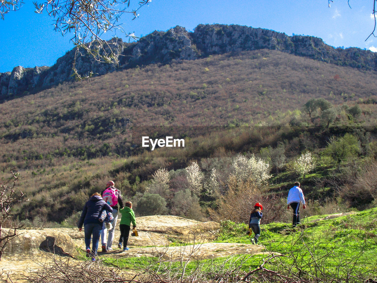 Rear view of family hiking on mountain