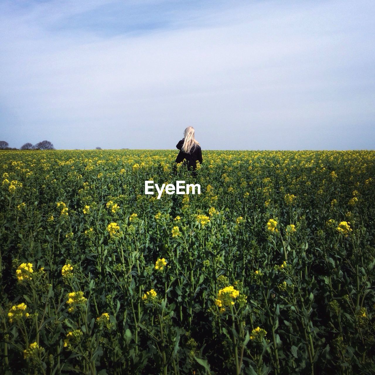 Rear view of woman standing on field against sky