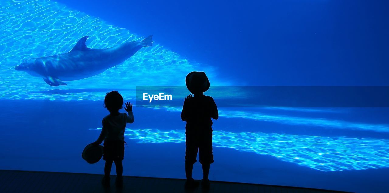 Silhouette children watching dolphin swimming in aquarium