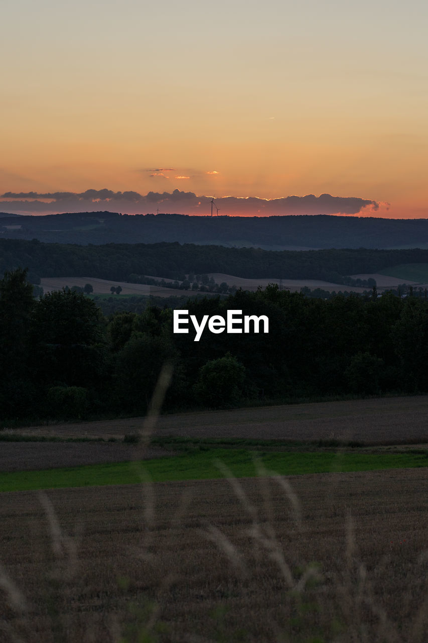 SCENIC VIEW OF FIELD AGAINST ORANGE SKY