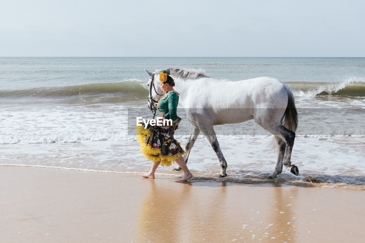 Latin female in ruffled traditional flamenco costume walking with gray stallion on sandy sea beach while looking away