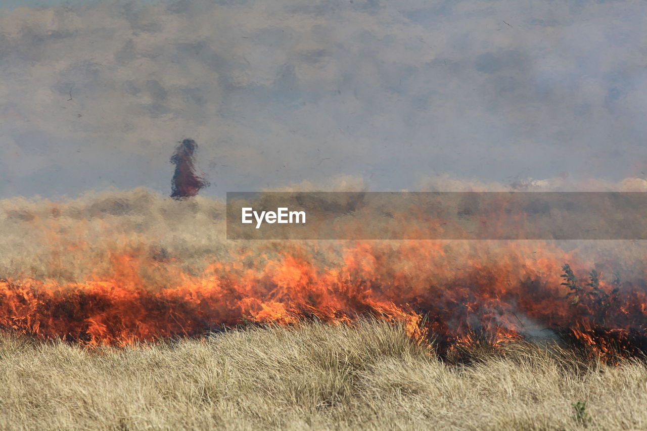 Fire on grassy field