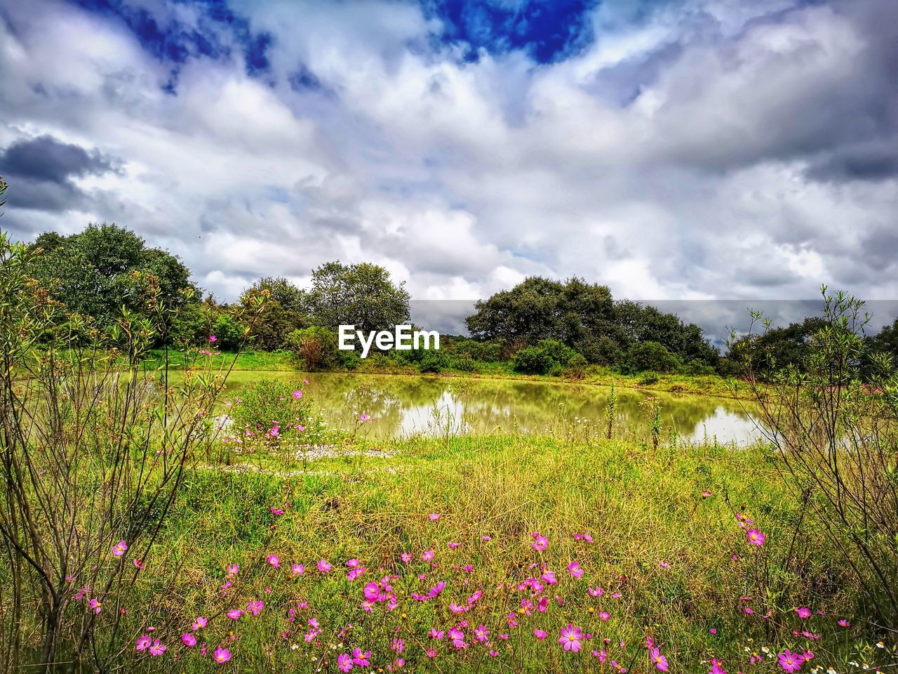 SCENIC VIEW OF FIELD AGAINST CLOUDY SKY