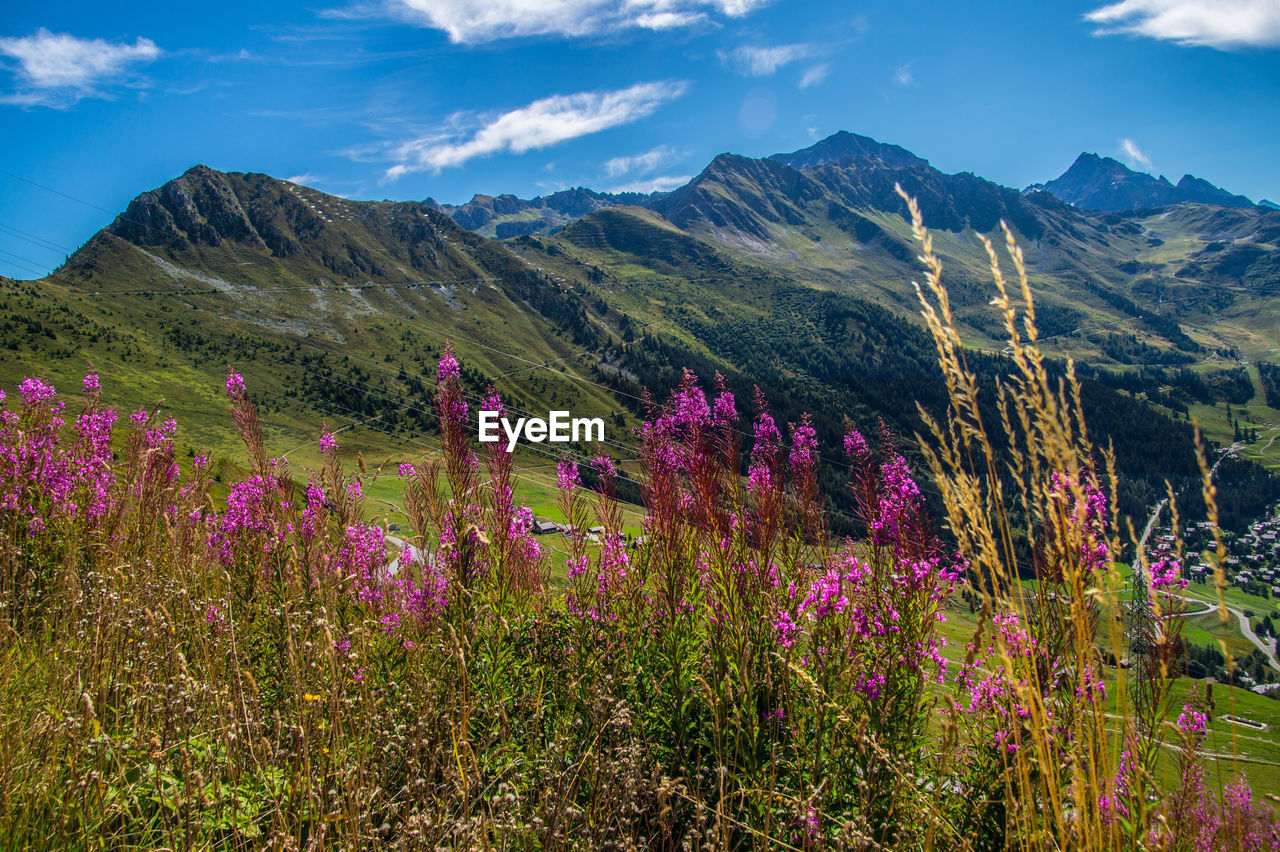 Verbier in valais in swiss