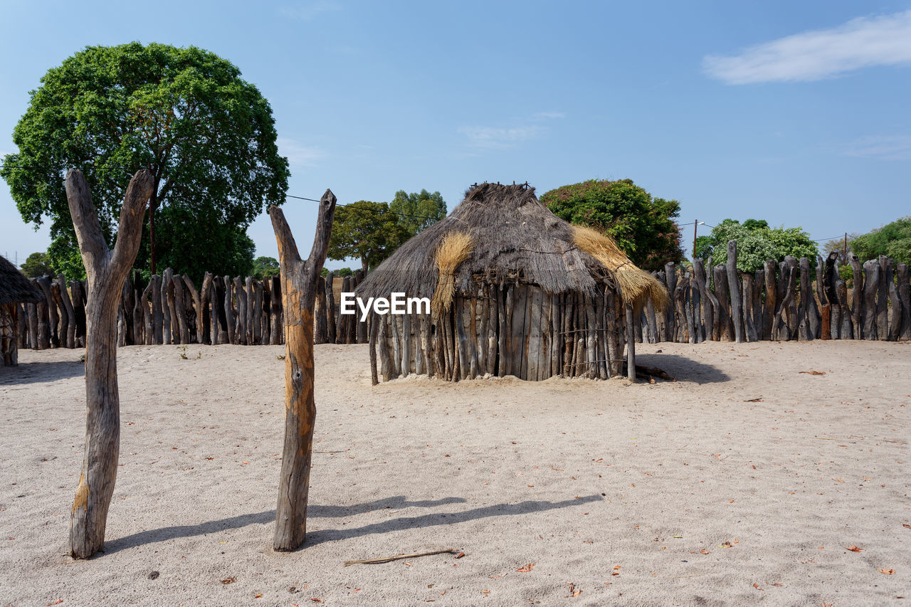 PANORAMIC VIEW OF TREES ON BEACH