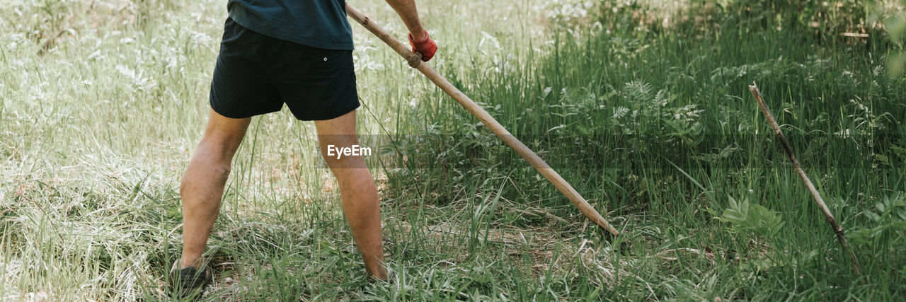 Mowing grass with hand scythe on household farm. farmer man mowing weed of farmland with scythe.