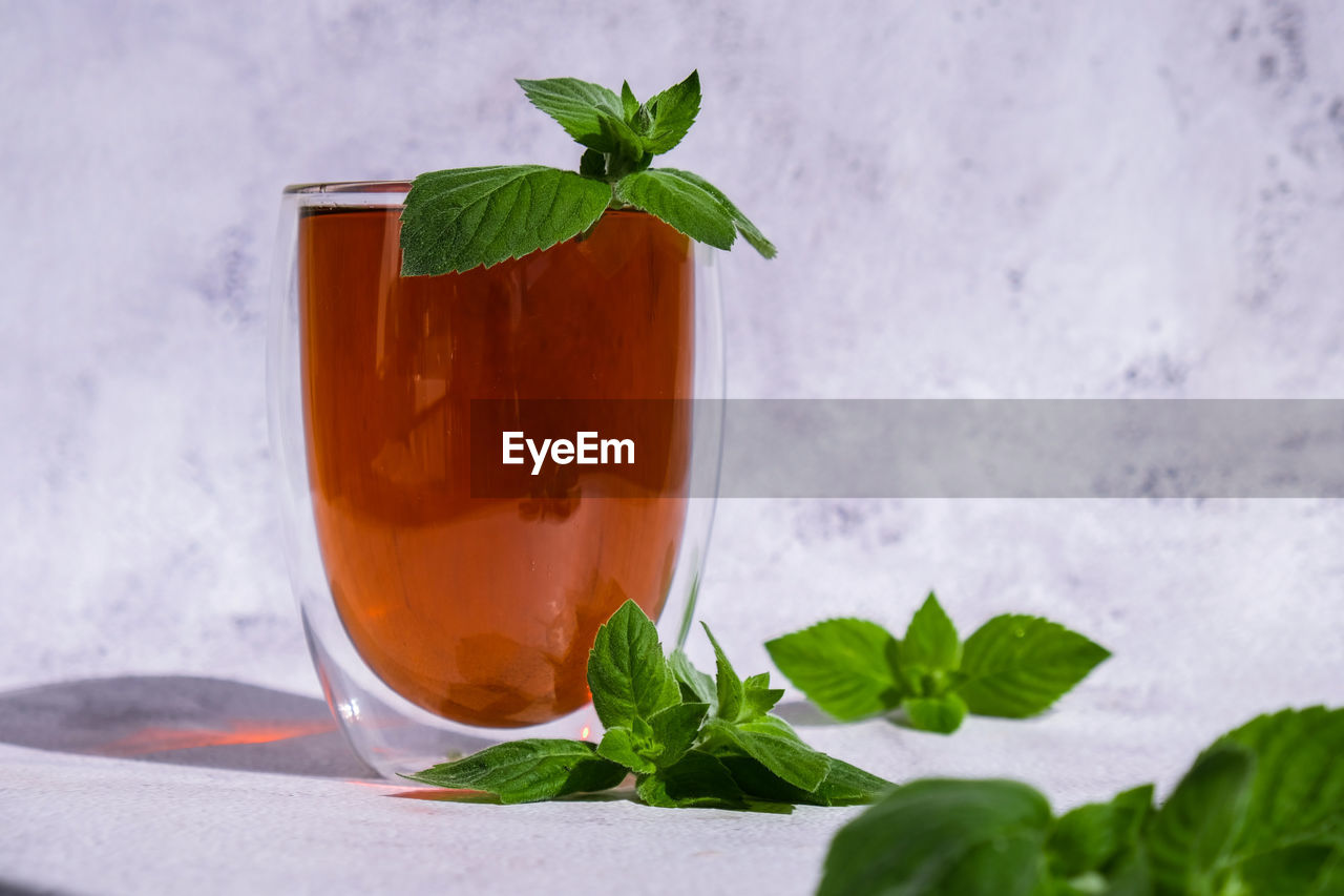 Tea with mint. transparent cup of herbal tea with fresh mint. healthy melissa tea natural organic 