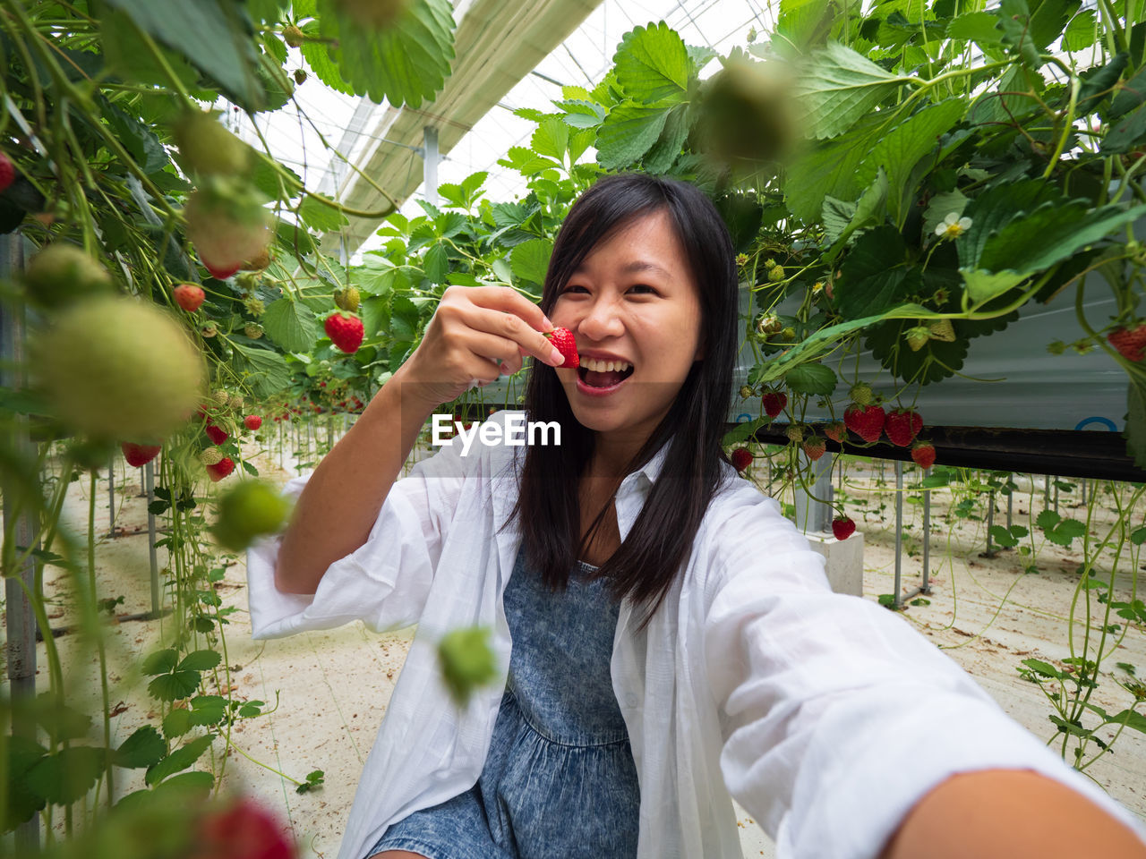 Portrait of cheerful woman eating strawberries in greenhouse